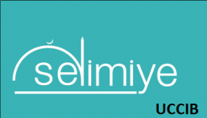 Selimiye_Camii_UCCIB